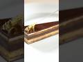 Opera Cake Shorts Cake Chef Youtubeshorts Opera Cake Shorts Cake Chef Youtubeshorts
