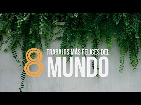 Los 8 Trabajos más Felices del Mundo Psicología - YouTube