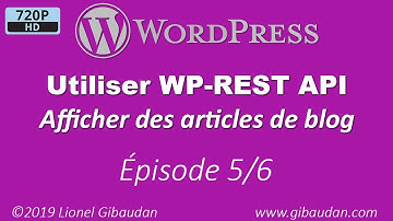 vidéo 5/6 -  Utiliser WP-Rest Api dans un site statique