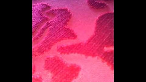 من سورة هود القارئ الجوهرة الشيخ محمد سمير ابو عون