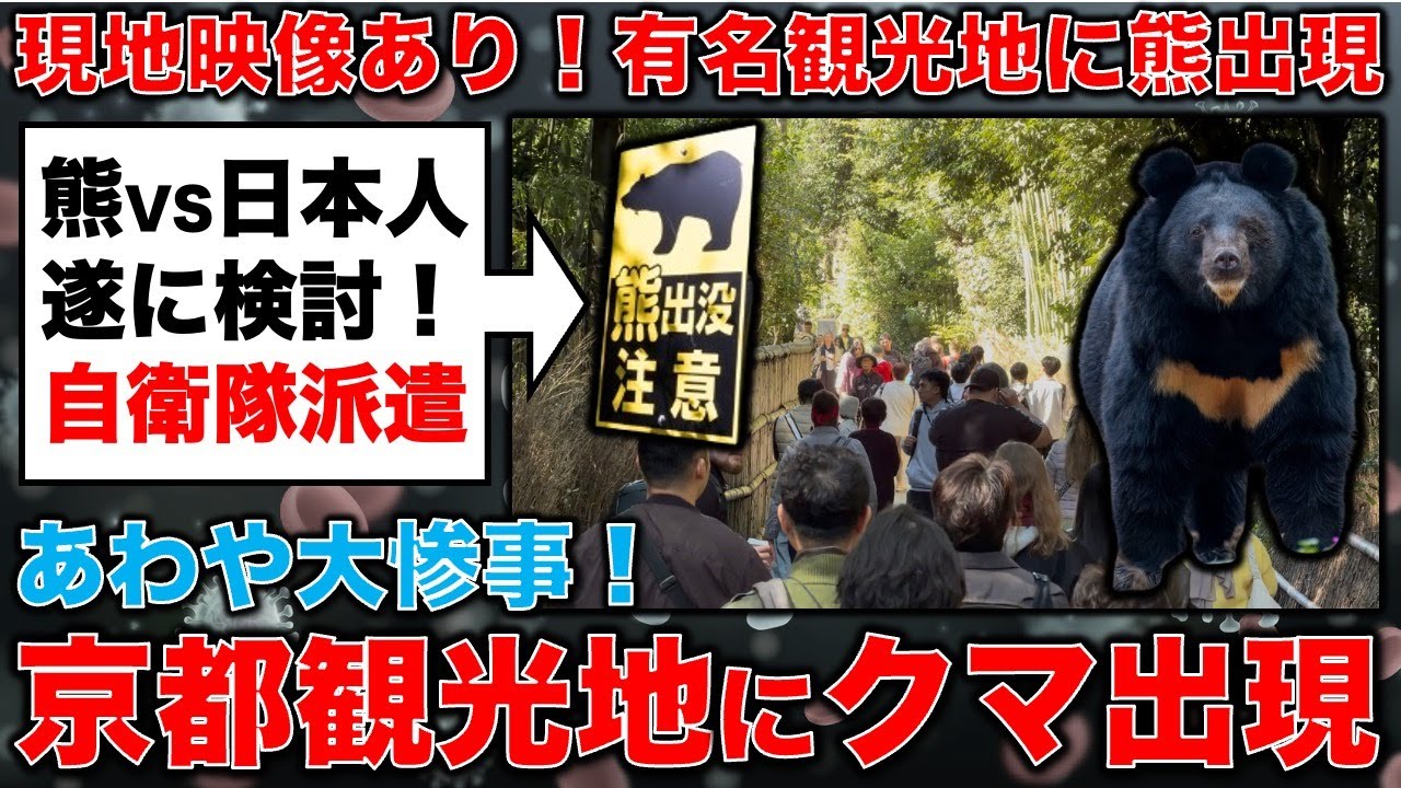 Bears have been spotted in tourist spots in Kyoto, where many