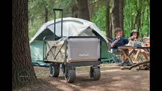 Camping electric trolley露营电动助力推车#camping #trolley