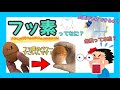 【虫歯予防】フッ素ってなに？解説します！【危険？安全？兵庫県西宮市の歯医者さんが教えます】