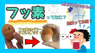 【虫歯予防】フッ素ってなに？解説します！【危険？安全？兵庫県西宮市の歯医者さんが教えます】
