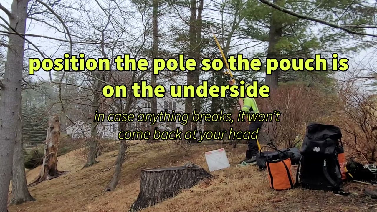 Arborist Skills - The Basics of the Big Shot