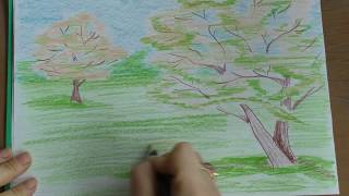 Как нарисовать весенний сад карандашами, цветущий сад, от 5 лет