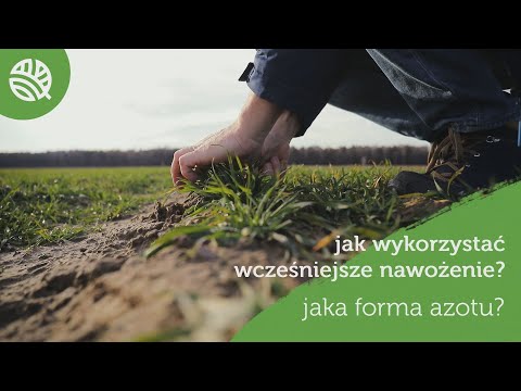 WIOSENNE NAWOŻENIE ZBÓŻ