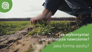 WIOSENNE NAWOŻENIE ZBÓŻ OZIMYCH - STRATEGIE NAWOŻENIA AZOTEM  - #114 nawozy nonstop