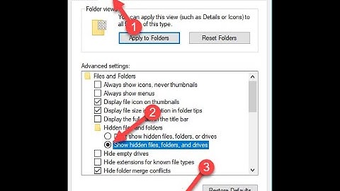 CÁCH HIỂN THỊ FILE BỊ ẨN TRONG USB VÀ Ổ CỨNG NHANH NHẤT