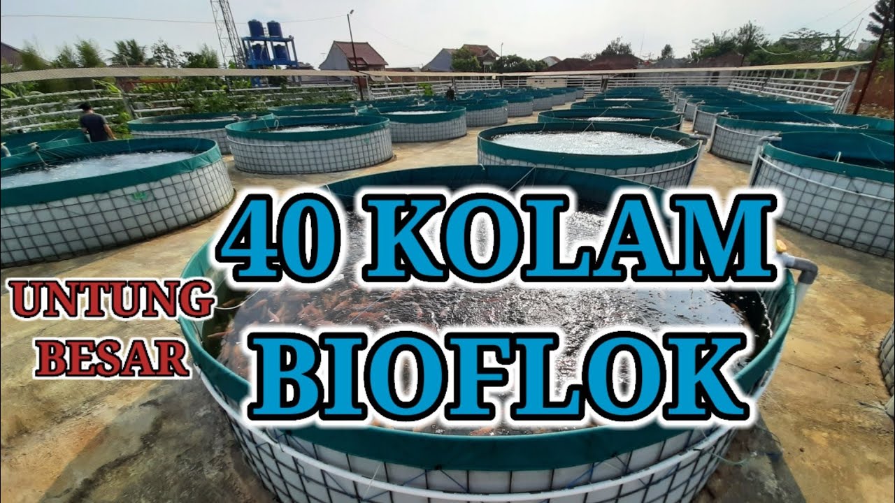 BIOFLOK NILA 651 BBAT SUKABUMI 