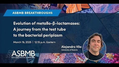 Evolution of metallo-β-lactamases: A journey from the test tube to the bacterial periplasm