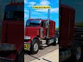 Peterbilt 389 Heavy Haulin' a CAT 390F