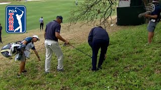 Matt Kuchar enlists fans to help find ball at WGC-Dell Match Play screenshot 1