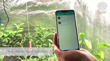 AirComfort Wireless Indoor Temperature and Humidity Sensor