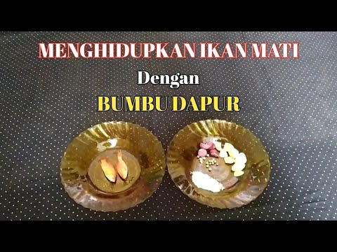 Video: Bagaimana Anda menggunakan mati?