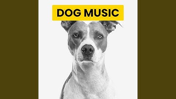 Opulent Backdrops for The Happiest Dogs