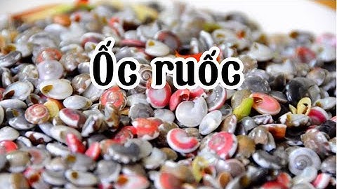 DIY - Cách xào ốc ruốc, ốc lể xào sả ớt thơm ngon 😋