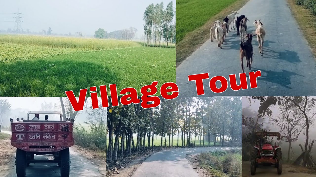 Village Tour ( Dhanuti, Deoria Sadar, Uttar Pradesh ) - YouTube