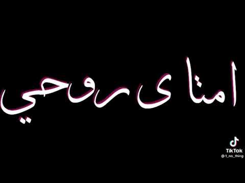 ملكه قلبى ترند الساحه امتى يا روحى تبقى حلالى