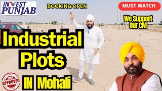 🔥Affordable Industrial Plots In Mohali🔥Invest in Punjab ✌️
