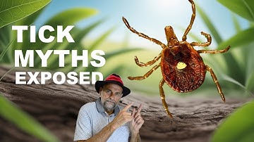 Debunking Tick MYTHS: Learn to Stay Safe