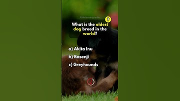 Animals Trivia Quiz Game. #quiz #quizgame #facts