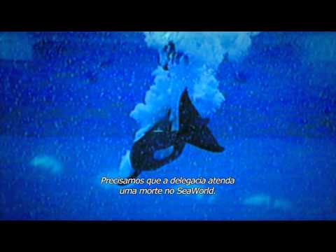 Blackfish - Fúria Animal - Trailer