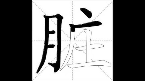 how to write chinese 脏丨Chinese stroke order中文汉字笔顺动画
