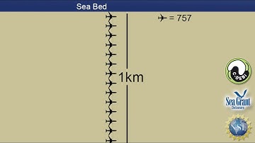 15 Second Science -  Deep-sea microbes