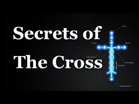Secrets of The Cross