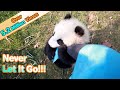 Panda Cub Latches Onto Keeper’s Leg | iPanda
