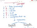mnemonic for breast tissue components