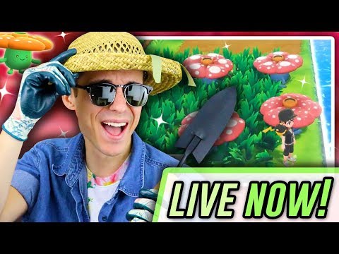 LIVE LET'S GO SHINY HUNTING ~ FULL ODDS WILD VILEPLUME!! (1 shiny found!) | Supreme Stream - LIVE LET'S GO SHINY HUNTING ~ FULL ODDS WILD VILEPLUME!! (1 shiny found!) | Supreme Stream