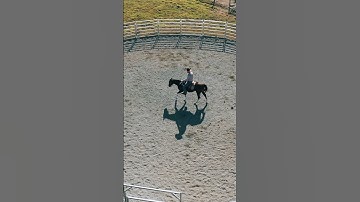 The basis of all reining training.. #shorts