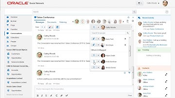 Work with Flags in Oracle Social Network (Release 12)