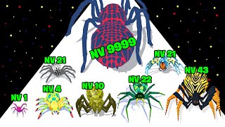 LA MEILLEURE ÉVOLUTION D'ARAIGNÉE GÉANTE ! (Spider Evolution : Runner Game)