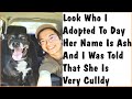 The Most Wholesome Rescue Pet Photos | Top funny