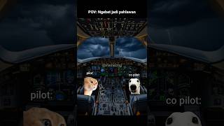 Pengorbanan Yg Sia Sia meme memekucing kucing kucinglucu fyp viral