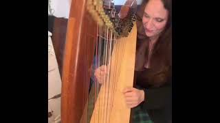 Christmas Carol Sampler on Celtic Harp