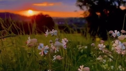 دعاء تيسير الامور #قرآن #استغفار #explore #اذكار #دين #لايك #اكسبلور #رزق #foryou #viralvideo #رائج