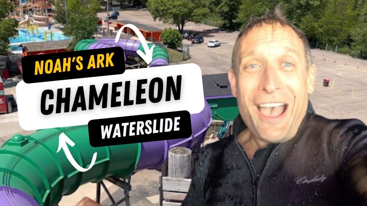 Chameleon water slide with lights and sound noah s ark wisconsin