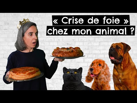 Vidéo: Toxines Du Foie Chez Les Chats