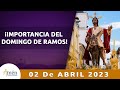 Domingo de Ramos 2 abril de 2023 | Padre Carlos Yepes | Semana Santa