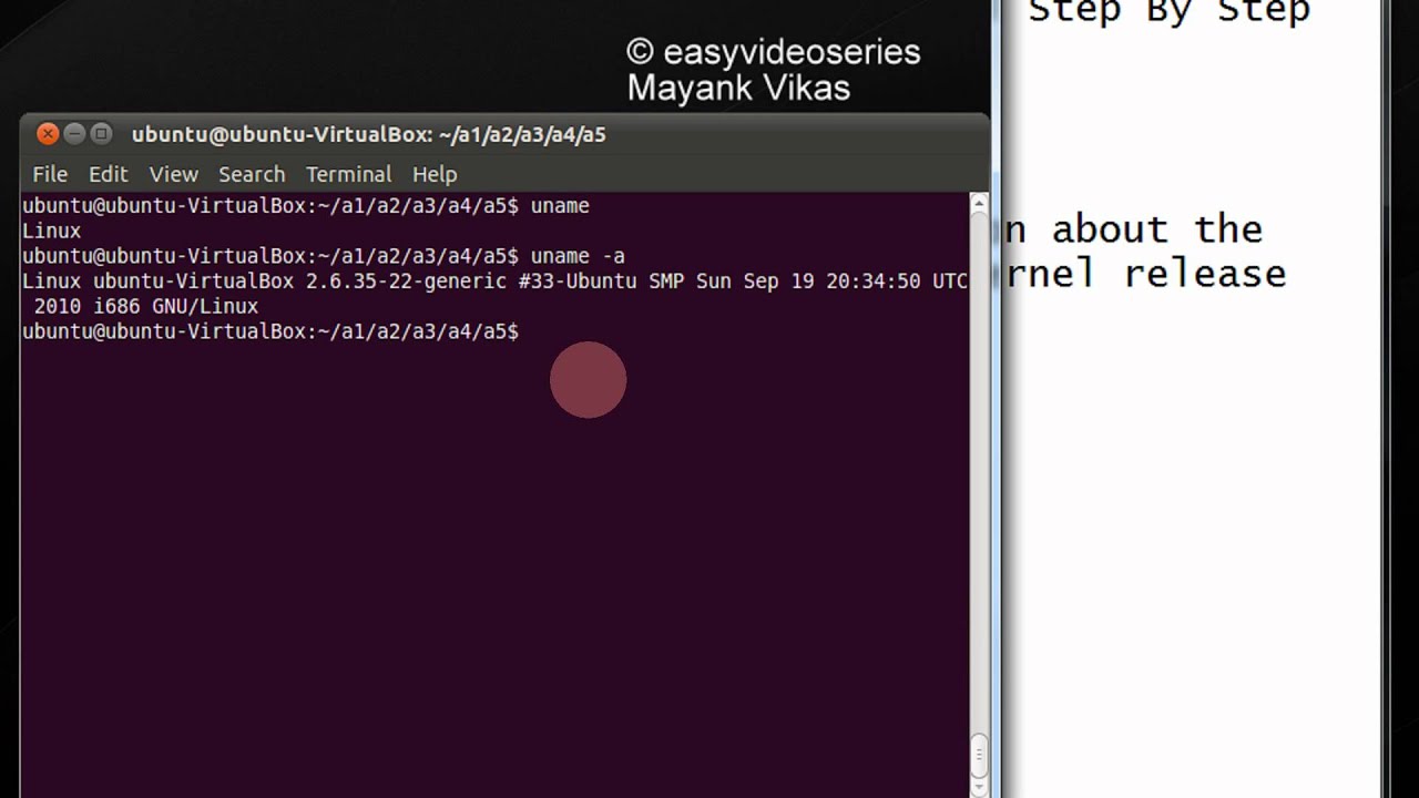 Uname linux. Uname -v Linux команда. Uname -a. Uname -a Ubuntu.