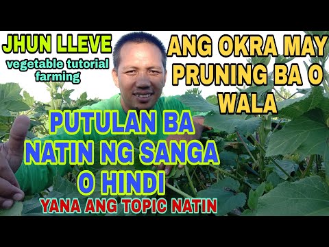 Video: Thinning Cuts In Pruning - Paano Gagawin ang Pagnipis ng mga Sanga ng Puno