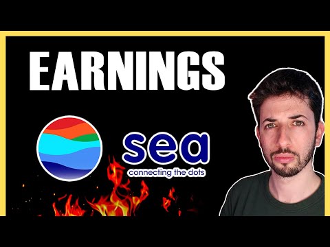 Sea Limited Earnings: The Good and The Bad | SE Stock