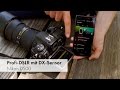 Nikon D500 | Bildrauschen, 4K-Video, WiFi, Autofokus und Co im Test [Deutsch]