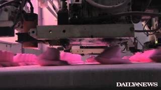 Giving life to Peeps at the Just Born factory