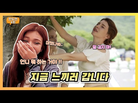 [#대한외국인 주도기행 #완도 4편] #힐링 과 #치유 를 하고 싶다면?! #완도 로!