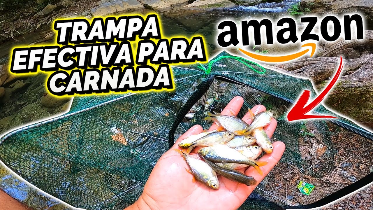 COMPRÉ una TRAMPA PARA PECES en Amazon (MUY EFECTIVA)